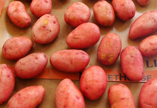 papas-2