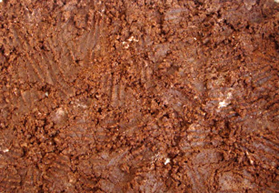 maracuya-2