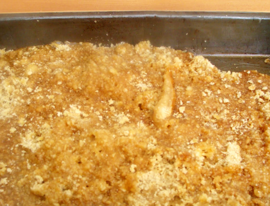 torta-nuez-naranjas-5